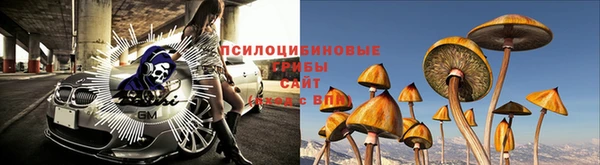 mdma Волоколамск
