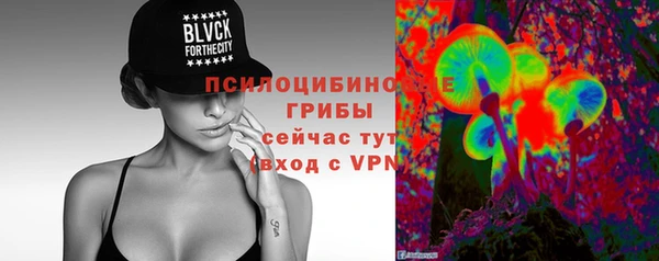 прущие крисы Вяземский