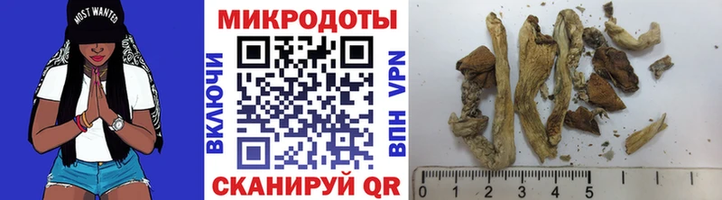 Галлюциногенные грибы GOLDEN TEACHER  Купить где  Тында 